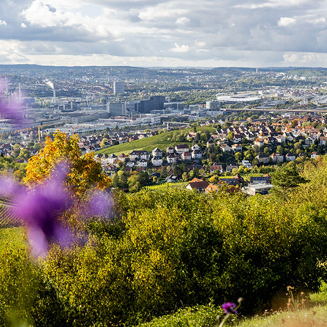 Blick über Stuttgart © Kommwirmachendaseinfach.de-Nicole Hagemann